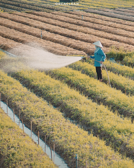 Dirty Dozen & Clean Fifteen 2026: What Do Pesticide Residues Really Mean?